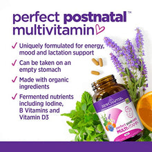 New Chapter Perfect Postnatal Vitamins, Lactation Supplement with Fermented Probiotics + Wholefoods + Vitamin D3 + B Vitamins + Organic Non-GMO Ingredients - 96 Vegetarian Tablets